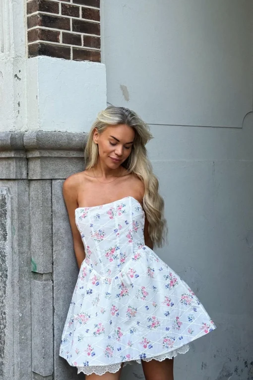 Glamorous Mini Dresses|Mini Dresses|Light White Trellis Floral Corset Mini-Dress -